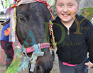 Badyhoeve is een terrein dat tot 3kinderen en hun pony's met de hond Djackson behoort.