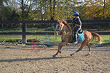 Badyhoeve is een terrein dat tot 3kinderen en hun pony's met de hond Djackson behoort.