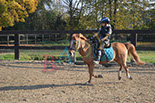 Badyhoeve is een terrein dat tot 3kinderen en hun pony's met de hond Djackson behoort.
