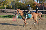 Badyhoeve is een terrein dat tot 3kinderen en hun pony's met de hond Djackson behoort.