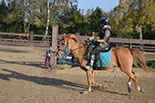 Badyhoeve is een terrein dat tot 3kinderen en hun pony's met de hond Djackson behoort.