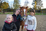 Badyhoeve is een terrein dat tot 3kinderen en hun pony's met de hond Djackson behoort.