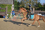Badyhoeve is een terrein dat tot 3kinderen en hun pony's met de hond Djackson behoort.