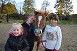 Badyhoeve is een terrein dat tot 3kinderen en hun pony's met de hond Djackson behoort.