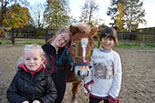 Badyhoeve is een terrein dat tot 3kinderen en hun pony's met de hond Djackson behoort.