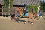 Badyhoeve is een terrein dat tot 3kinderen en hun pony's met de hond Djackson behoort.