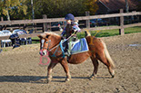 Badyhoeve is een terrein dat tot 3kinderen en hun pony's met de hond Djackson behoort.