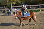 Badyhoeve is een terrein dat tot 3kinderen en hun pony's met de hond Djackson behoort.