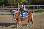 Badyhoeve is een terrein dat tot 3kinderen en hun pony's met de hond Djackson behoort.
