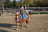 Badyhoeve is een terrein dat tot 3kinderen en hun pony's met de hond Djackson behoort.