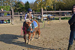 Badyhoeve is een terrein dat tot 3kinderen en hun pony's met de hond Djackson behoort.
