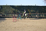 Badyhoeve is een terrein dat tot 3kinderen en hun pony's met de hond Djackson behoort.