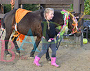 Badyhoeve is een terrein dat tot 3kinderen en hun pony's met de hond Djackson behoort.