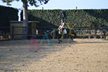Badyhoeve is een terrein dat tot 3kinderen en hun pony's met de hond Djackson behoort.