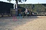 Badyhoeve is een terrein dat tot 3kinderen en hun pony's met de hond Djackson behoort.