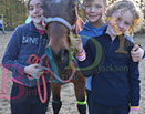 Badyhoeve is een terrein dat tot 3kinderen en hun pony's met de hond Djackson behoort.