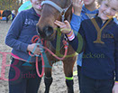 Badyhoeve is een terrein dat tot 3kinderen en hun pony's met de hond Djackson behoort.