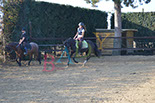 Badyhoeve is een terrein dat tot 3kinderen en hun pony's met de hond Djackson behoort.
