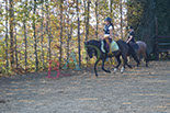 Badyhoeve is een terrein dat tot 3kinderen en hun pony's met de hond Djackson behoort.