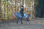 Badyhoeve is een terrein dat tot 3kinderen en hun pony's met de hond Djackson behoort.