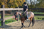 Badyhoeve is een terrein dat tot 3kinderen en hun pony's met de hond Djackson behoort.