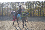 Badyhoeve is een terrein dat tot 3kinderen en hun pony's met de hond Djackson behoort.