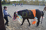Badyhoeve is een terrein dat tot 3kinderen en hun pony's met de hond Djackson behoort.