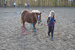 Badyhoeve is een terrein dat tot 3kinderen en hun pony's met de hond Djackson behoort.