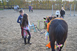 Badyhoeve is een terrein dat tot 3kinderen en hun pony's met de hond Djackson behoort.