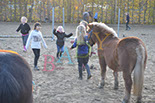 Badyhoeve is een terrein dat tot 3kinderen en hun pony's met de hond Djackson behoort.