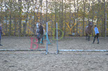 Badyhoeve is een terrein dat tot 3kinderen en hun pony's met de hond Djackson behoort.