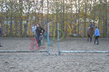 Badyhoeve is een terrein dat tot 3kinderen en hun pony's met de hond Djackson behoort.
