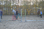Badyhoeve is een terrein dat tot 3kinderen en hun pony's met de hond Djackson behoort.