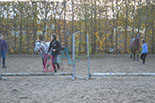 Badyhoeve is een terrein dat tot 3kinderen en hun pony's met de hond Djackson behoort.