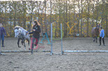 Badyhoeve is een terrein dat tot 3kinderen en hun pony's met de hond Djackson behoort.