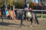 Badyhoeve is een terrein dat tot 3kinderen en hun pony's met de hond Djackson behoort.