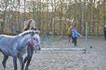 Badyhoeve is een terrein dat tot 3kinderen en hun pony's met de hond Djackson behoort.