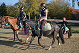 Badyhoeve is een terrein dat tot 3kinderen en hun pony's met de hond Djackson behoort.