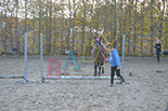 Badyhoeve is een terrein dat tot 3kinderen en hun pony's met de hond Djackson behoort.