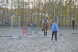 Badyhoeve is een terrein dat tot 3kinderen en hun pony's met de hond Djackson behoort.