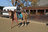 Badyhoeve is een terrein dat tot 3kinderen en hun pony's met de hond Djackson behoort.