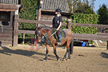 Badyhoeve is een terrein dat tot 3kinderen en hun pony's met de hond Djackson behoort.
