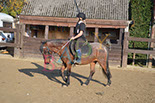 Badyhoeve is een terrein dat tot 3kinderen en hun pony's met de hond Djackson behoort.