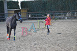 Badyhoeve is een terrein dat tot 3kinderen en hun pony's met de hond Djackson behoort.