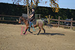 Badyhoeve is een terrein dat tot 3kinderen en hun pony's met de hond Djackson behoort.