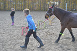 Badyhoeve is een terrein dat tot 3kinderen en hun pony's met de hond Djackson behoort.
