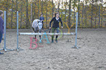 Badyhoeve is een terrein dat tot 3kinderen en hun pony's met de hond Djackson behoort.