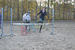 Badyhoeve is een terrein dat tot 3kinderen en hun pony's met de hond Djackson behoort.
