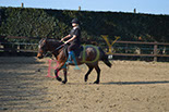 Badyhoeve is een terrein dat tot 3kinderen en hun pony's met de hond Djackson behoort.