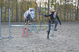 Badyhoeve is een terrein dat tot 3kinderen en hun pony's met de hond Djackson behoort.